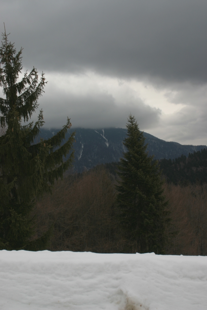 Snowy landscape from Predeal