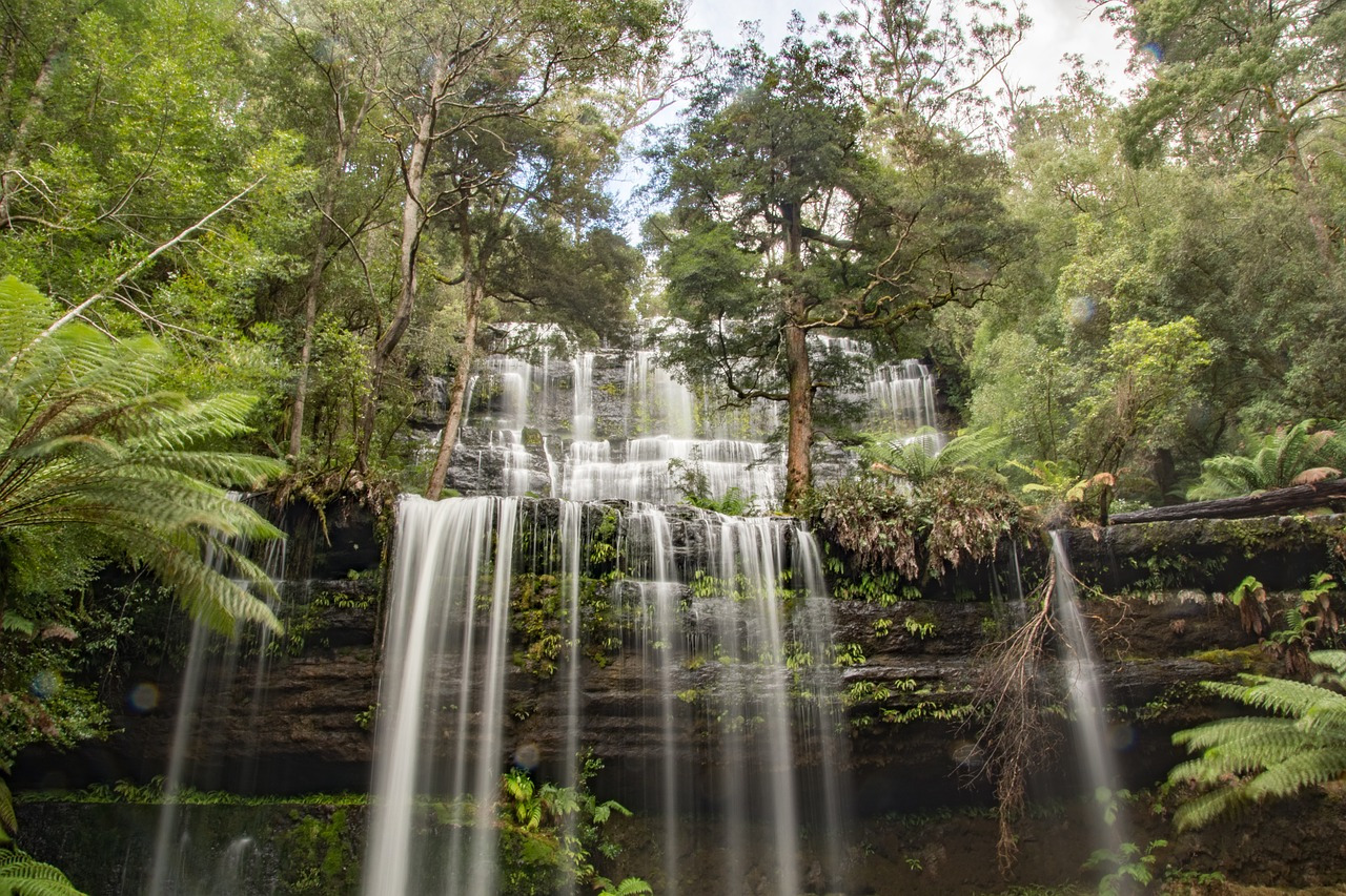 Russell Falls in Mt Field National Park is the most photographed waterfall in the state. Discover the 8 top places to visit in Tasmania from this article. #tasmania #tasmaniawonders #tasmaniaattractions