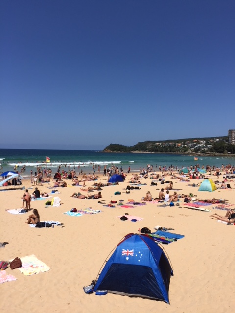 You simply must visit one of the wonderful Sydney Beaches on your trip here. Read this article to discover also the best places to see in Sydney, fun things to do in Sydney, accomodation and food recommendations from a local. #sydney #sydneytrip #sydneyattractions #sydneyaustralia #australiatravel #sydneytravel