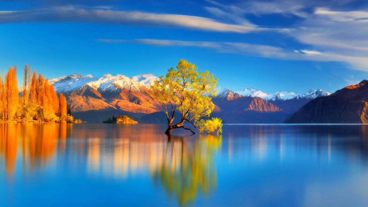 Lake Wanaka tree, New Zealand - is one of the best places to visit in Wanaka. Discover more Wanaka New Zealand things to do from this article. Read it now!