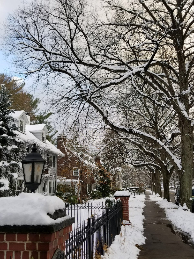 Chestnut Hill - Boston snow: discover the best time to visit Boston, great restaurants in Boston and Boston travel tips from this Boston city guide