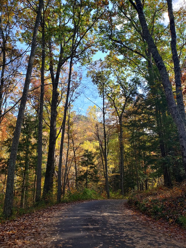 The Roaring Fork Motor Nature Trail